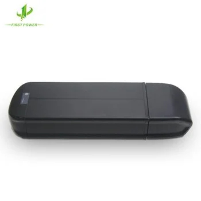 Rear Rack Battery DOLPHIN