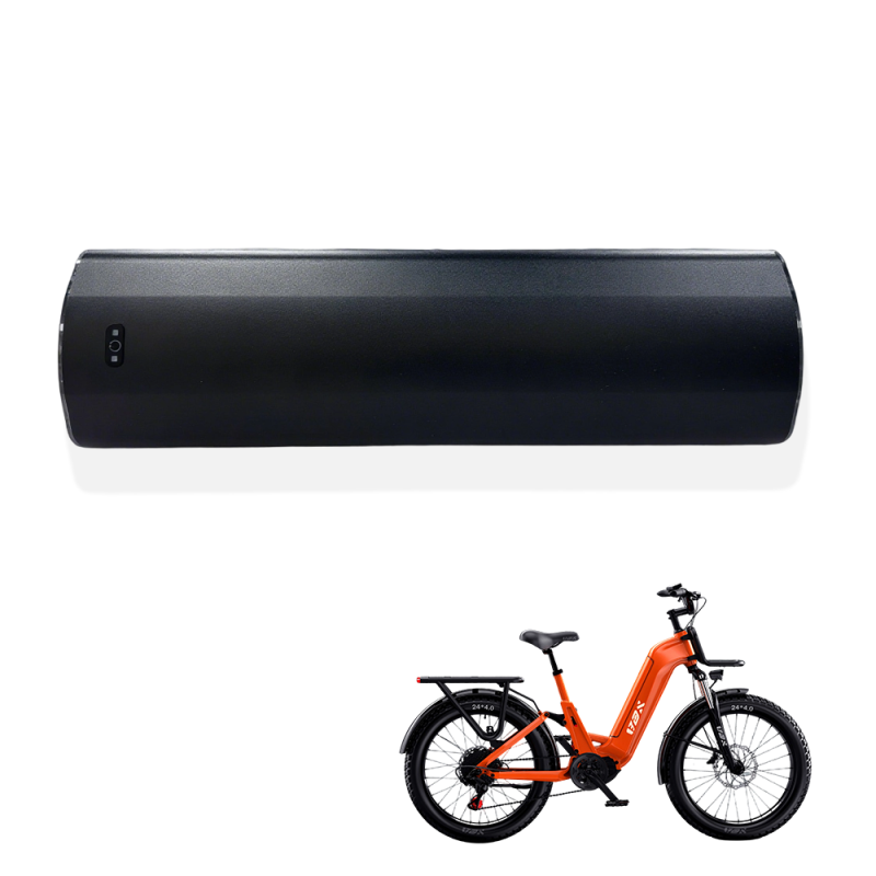 48V 20Ah Inner Tube eBike Battery | UL2271 Certified Lithium Pack